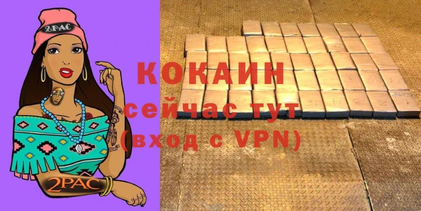 дмт Елизово