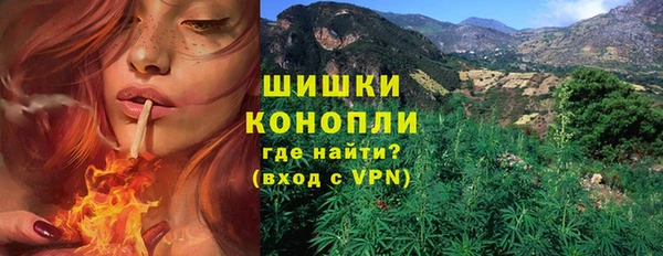 дмт Елизово