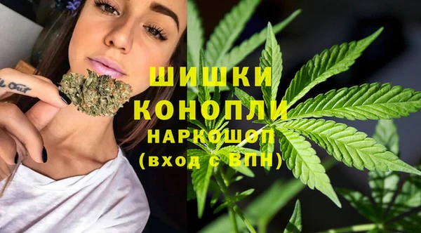 PSILOCYBIN Ельня