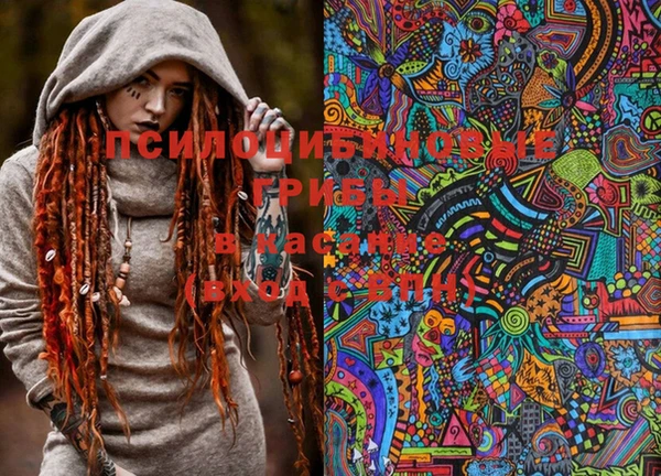 PSILOCYBIN Ельня