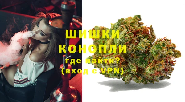 дмт Елизово