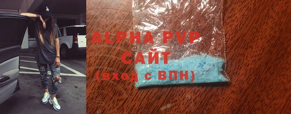 PSILOCYBIN Ельня