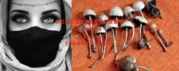 PSILOCYBIN Ельня