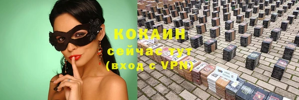 PSILOCYBIN Ельня