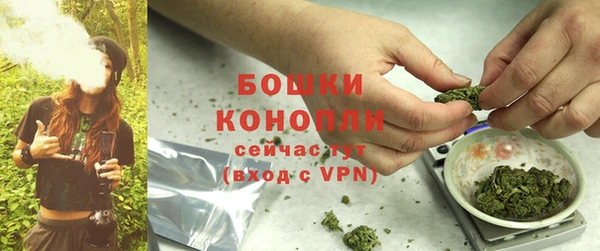 PSILOCYBIN Ельня