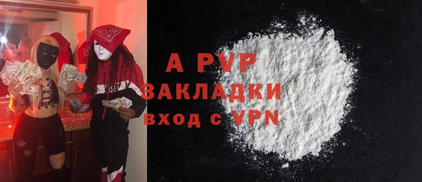 PSILOCYBIN Ельня