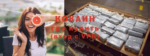 дмт Елизово