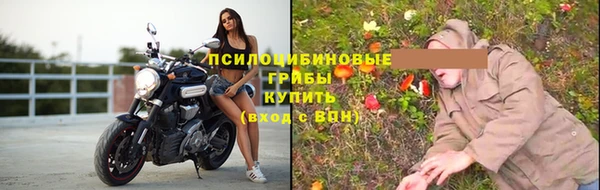 PSILOCYBIN Ельня
