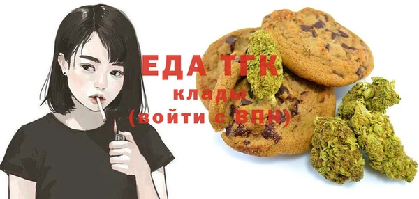 PSILOCYBIN Ельня