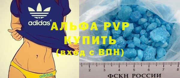 PSILOCYBIN Ельня